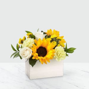 Sweet as Lemonade™ Sunflower Bouquet Flower Bouquet