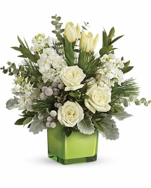 Teleflora's Winter Pop Bouquet Flower Bouquet