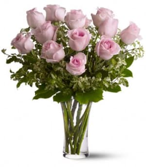 A Dozen Pink Roses Flower Bouquet