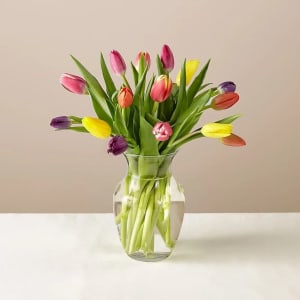 15 Stem Spring Breeze Multicolored Tulip Bouquet With Vase Flower Bouquet