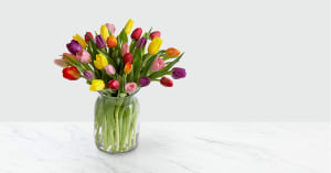 Rush of Color Assorted Tulip Bouquet - 30 Stems - VASE INCLUDED Flower Arrangement Rush of Color Assorted Tulip Bouquet - 30 Stems - VASE INCLUDED Flower Bouquet