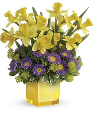 Teleflora's Playful Springtime Daffodil Bouquet
 Flower Bouquet