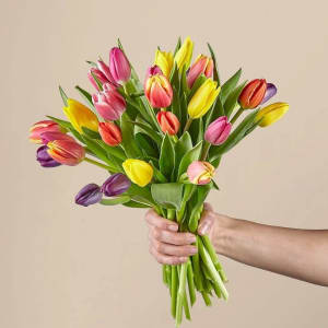 15 Stem Spring Breeze Multicolored Tulip Bouquet With Vase Flower Bouquet