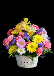 Judy's Crazy for Daisies JCD Flower Bouquet