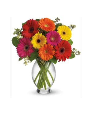 Teleflora's Gerbera Brights Flower Arrangement Teleflora's Gerbera Brights Flower Bouquet