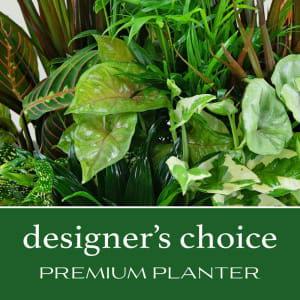 Designer's Choice Premium Planter Flower Bouquet