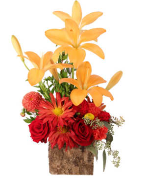 LOVELY SUNSHINE
Floral Arrangement Flower Bouquet