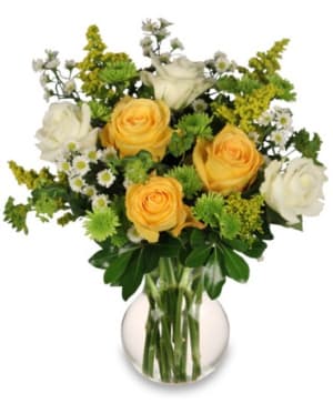 WHITE & YELLOW Flower Bouquet