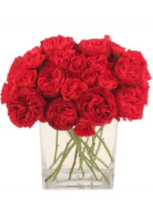 Red Carpet Roses
 Arrangement Flower Bouquet