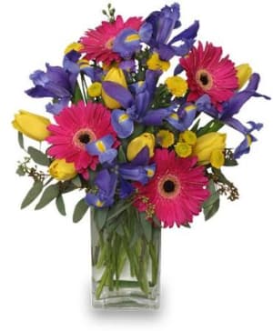 Spring Smiles
 Arrangement Flower Bouquet