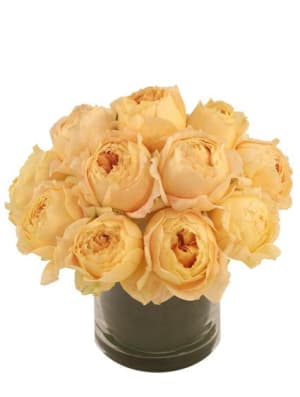 Champagne Roses
 Arrangement Flower Bouquet