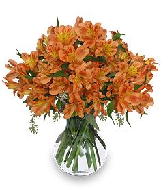 persimmon grove fall flowers Flower Bouquet