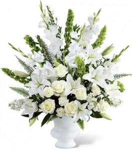 MORNING STARS
 Arrangement Flower Bouquet