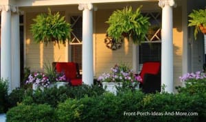 Boston Fern hanging basket  Flower Arrangement Boston Fern hanging basket  Flower Bouquet