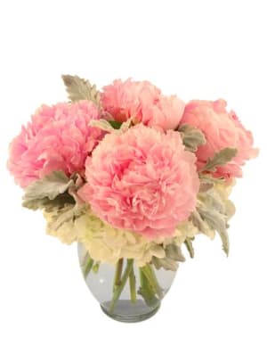 sweet as pie pink peonies  Flower Bouquet