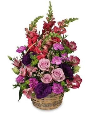 Home Sweet Home
  Flower   Basket Flower Bouquet