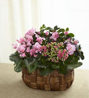 The Pink Assortment Flower Bouquet