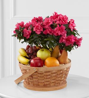 The FTD® Encircling Grace™ Fruit & Plant Basket Flower Bouquet