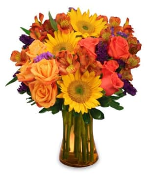 Sunflower SamplerArrangement Flower Bouquet