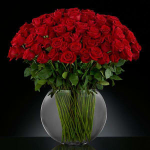 Breathless Luxury Rose Bouquet 24-inch Premium Long-Stemmed Roses - VASE INCLUDED Flower Bouquet