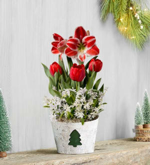 Holiday Charm Bulb Garden + Free Candle Flower Bouquet