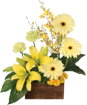 JOYOUS SUNLIGHT
Floral Design Flower Bouquet