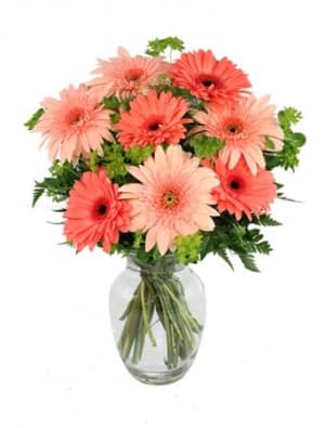 CRAZY IN LOVE DAISIES Flower Bouquet