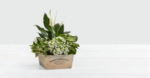 Peaceful White Garden Flower Bouquet