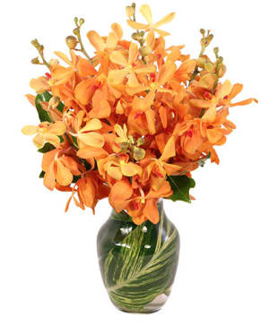 AMBER ORCHIDS
Floral Design
 Flower Bouquet