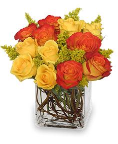 Phoenix Flame
Rose Arrangement Flower Bouquet