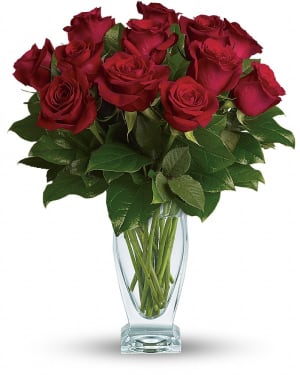 Rose Classique - Dozen Red Roses Flower Bouquet