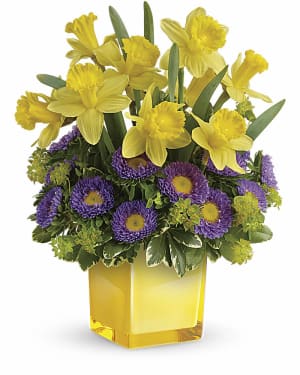 Teleflora's Playful Springtime Daffodil Bouquet Flower Bouquet