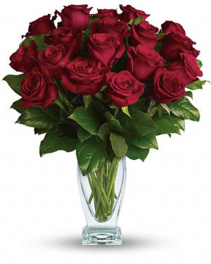 Rose Classique - Dozen Red Roses Flower Bouquet