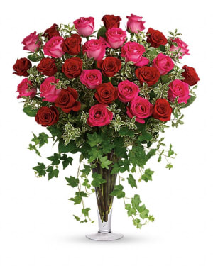 Dreaming in Pink - Long Stemmed Pink Roses Flower Bouquet