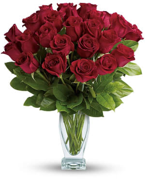 Rose Classique - Dozen Red Roses Flower Bouquet