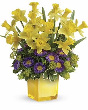 Teleflora's Playful Springtime Daffodil Bouquet Flower Bouquet