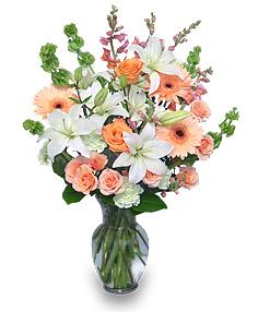 peaches & cream  Flower  Arrangement Flower Bouquet