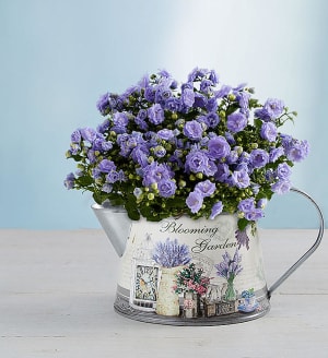 Springs Blooming Watering Can
 Flower Bouquet