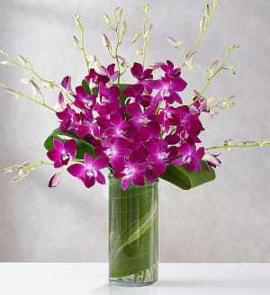 Orchid Embrace Flower Bouquet