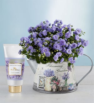 Springs Blooming Watering Can
 Flower Bouquet