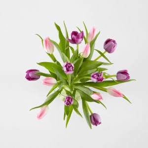 Hugs and Kisses Tulip Bouquet 20 vase Flower Bouquet