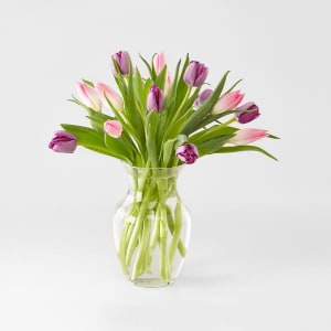 Hugs and Kisses Tulip Bouquet 20 vase Flower Bouquet