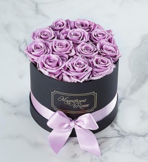 Magnificent Roses™ Preserved Lavender Roses Flower Bouquet