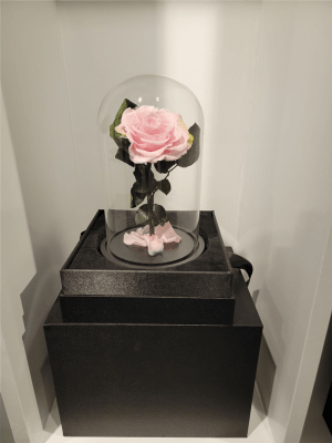 Beauty and The Beast Rose (Medium) Flower Bouquet