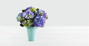 Potted Blue Hydrangea Flower Bouquet