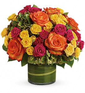 Blossoms in Vogue Flower Arrangement Blossoms in Vogue Flower Bouquet