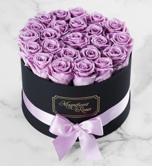 Magnificent Roses™ Preserved Lavender Roses Flower Bouquet