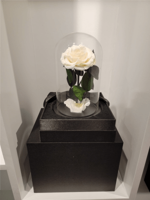 Beauty and The Beast Rose (Medium) Flower Bouquet