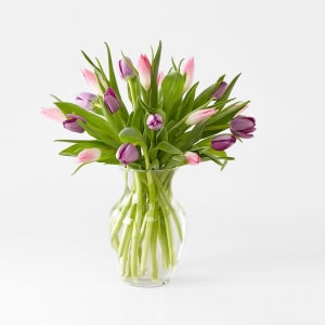 Hugs and Kisses Tulip Bouquet 20 vase Flower Bouquet