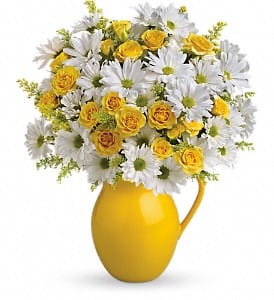 Sunny Day Pitcher of Daisies Flower Bouquet